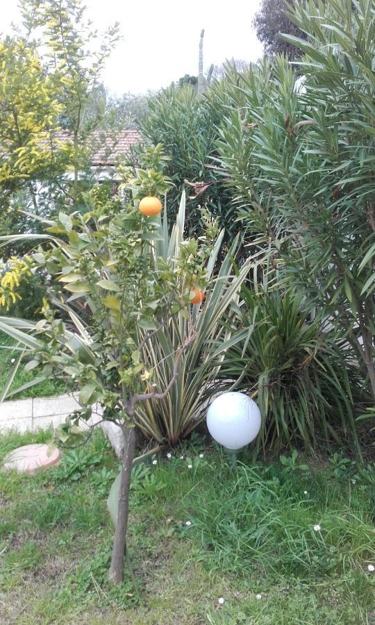Hotel Clair Logis Argelès-sur-Mer Buitenkant foto