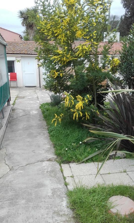 Hotel Clair Logis Argelès-sur-Mer Buitenkant foto